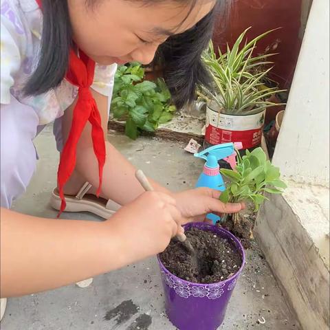 今天是一个晴朗的日子，让我们一起来种花吧！