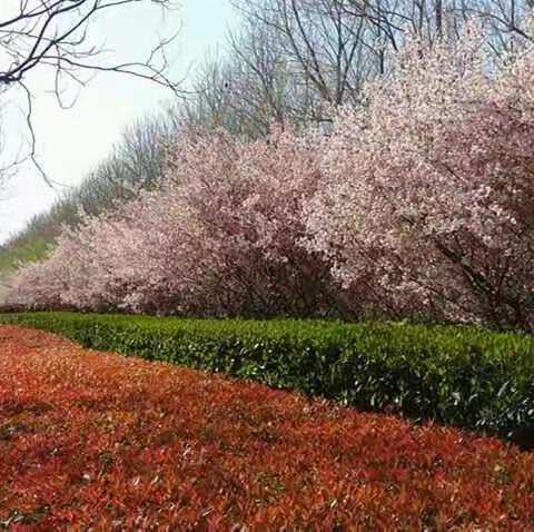 三月份“食堂、食品、饮水及宿舍卫生情况”常规督导纪实