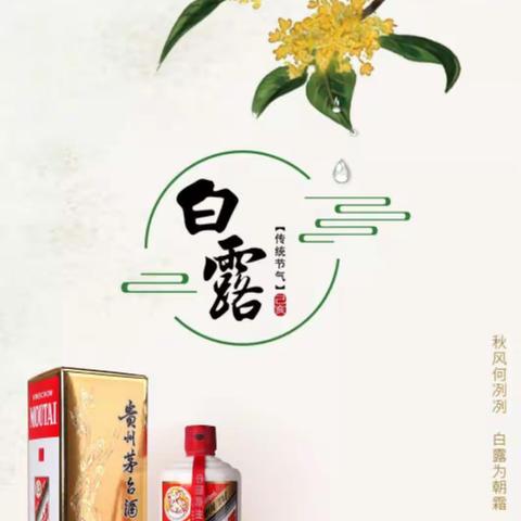 “知节气，识白露”醉美秋茶采摘季