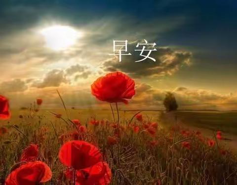 心若有爱甘之若饴