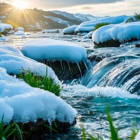 咏禽组诗•麻雀