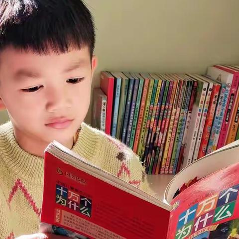 阅读战疫情，书香润成长——晒晒我的小书架