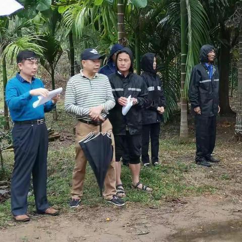 桂林洋经济开发区管理委员会重拳出击依法对禁养区生猪养殖场进行拆除工作