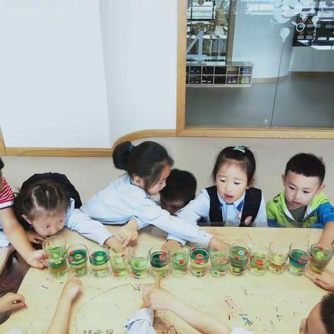 科学小实验 6月IK3-A