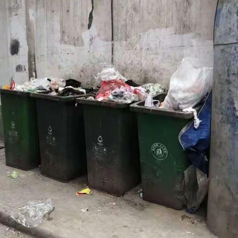 南小巷嘉园小区路口垃圾分类整改情况