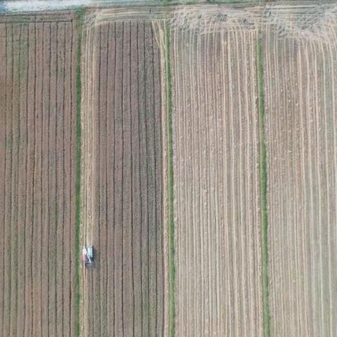 稳字当头 激励扩面 牵线搭桥 政媒联动 以督促改——永康市多管齐下稳粮扩面