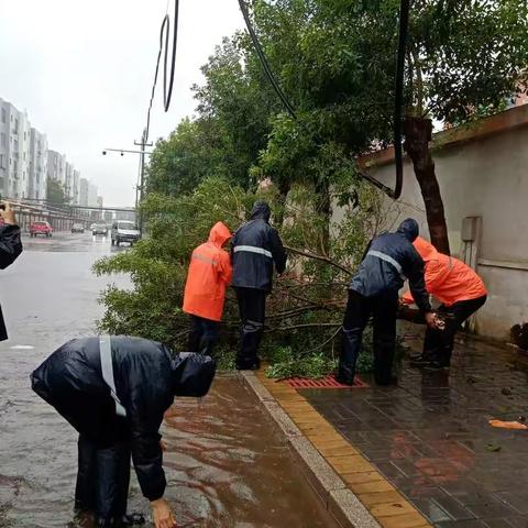 瑞康服务部：迎战台风“烟花”，我们一直在行动