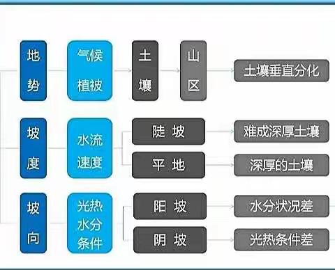 学业水平：画一科的思维导图