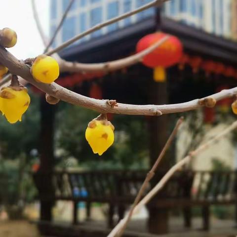商丘金管家物业绿色城邦服务中心2022年1月工作汇报