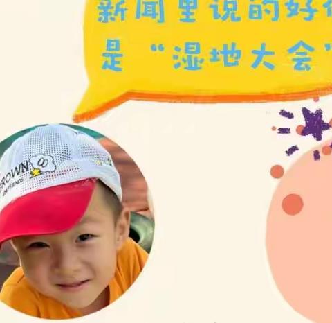 保护湿地 水娃在行动——水厂路幼儿园中二班课程孵化