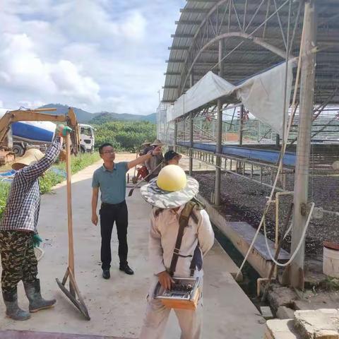 农业农村局副局长许杰同志到南岛肉鸽养殖场了解护坡项目进度，并约谈肉鸽养殖场基地负责人关于租金的问题