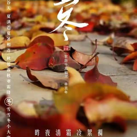 “历”尽初心，“史”志不渝 ——冀英中学天宁校区历史组11月工作总结