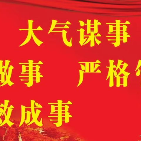 国家统计局科左中调查队到花胡硕苏木明亮嘎查进行全面从严治党民意调查