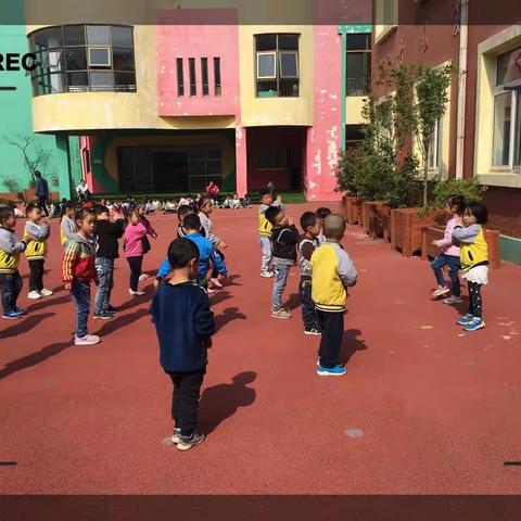 中班小朋友的户外活动