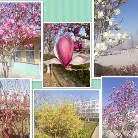 春暖花开，慈埠小学又迎来一批实习支教大学生