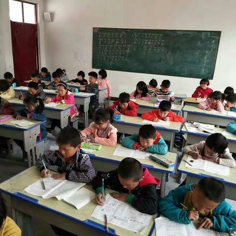 教育质量提升年之杨堂小学插花月考活动