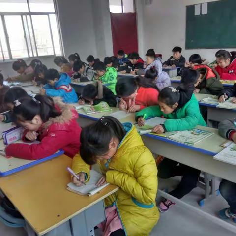 教育质量提升年之杨堂小学周月考活动