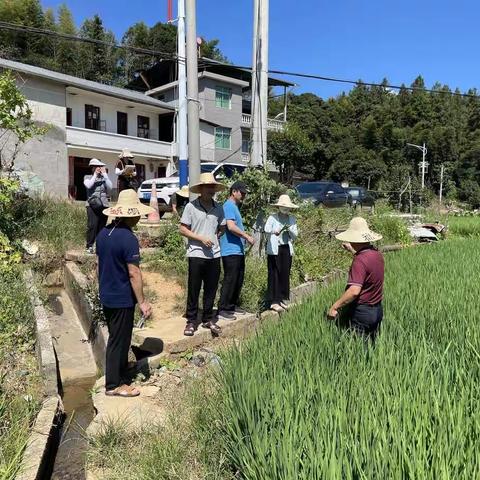 【绿色攻坚】省种子总站来明溪县开展制种基地及种子市场专项检查