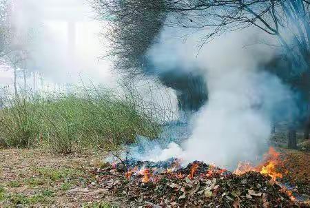 万荣县禁止“三烧” 从我做起