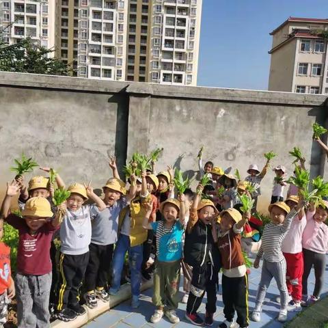 荣将镇中心幼儿园果果二班“金秋采摘，乐享丰收”采摘活动