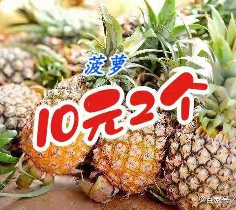与春同行                   春游踏青