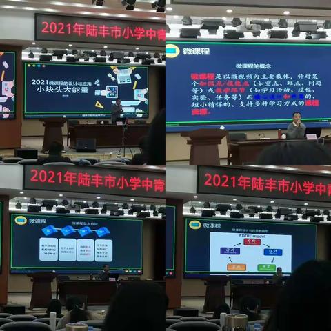 2021年陆丰市小学中青年教师岗位能力提升培训研修日志（三）