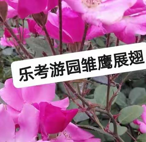 趣味游考    雏鹰展翅——洛阳经济技术开发区诸葛镇实验小学一、二年级游考活动纪实