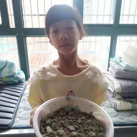 我们的种草大会——小聪娃中队