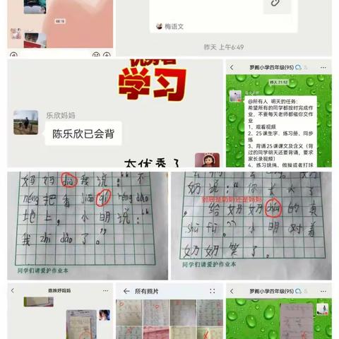 “停课不停学，多彩助成长”西平县盆尧罗阁小学教学活动简报