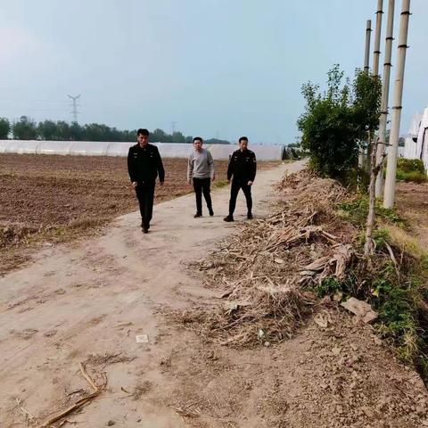 秸秆禁烧专项巡查工作动态