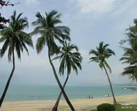 多姿课堂    竞相开放――洪洞县睿博小学部老师用智慧“浇灌”花朵，演绎课堂，展现魅力……