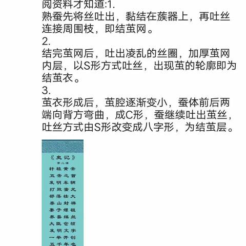 大阳仔小达人打卡汇总