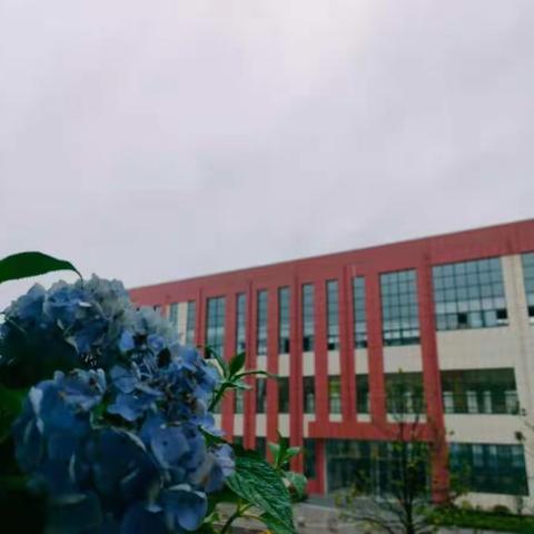 漫山红叶收获季  和美课堂展风采——实验一小语数学科双获市优质课一等奖