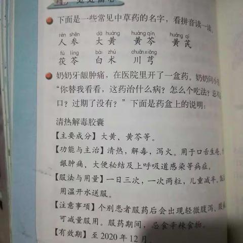 练习四语文实践活动小结