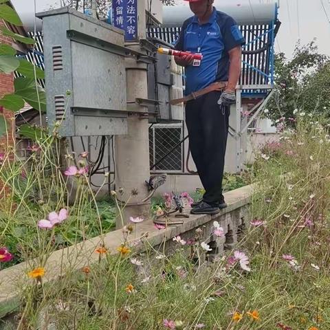青龙宋玉玺跟单记录