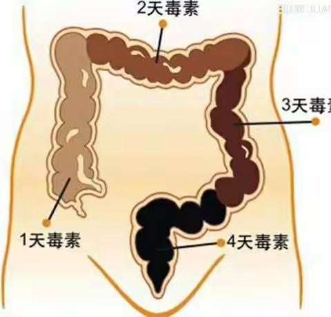 肠道保养小常识