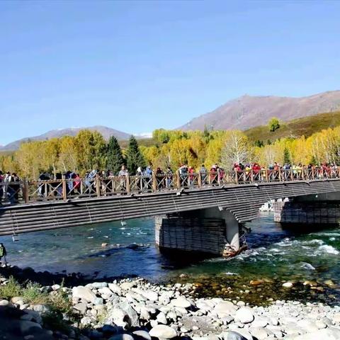 【相约旅行在金秋】禾木秋色