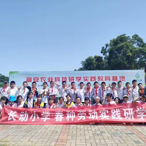 2024年岳阳楼区长动小学三年级50班春季研学活动