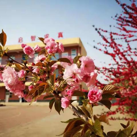 羊庄小学一年级“停课不停学”—我是运动小达人