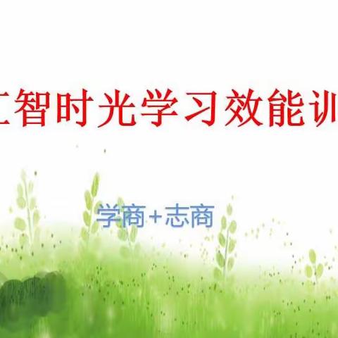 汇智时光第二期学习效能训练营学商+志商