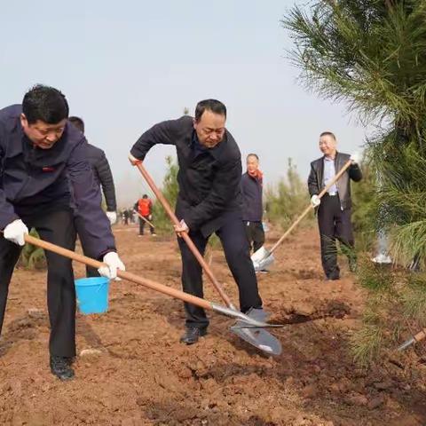 咸阳兴平千余名干部群众为大地增绿