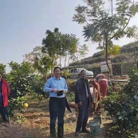 虎年伊始的正月初四，云南省农科院张跃杉副院长莅临昌宁绿山农业开发有限公司考察指导工作！