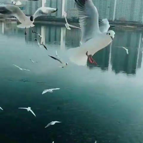 欢迎大家来美丽的刘家峡