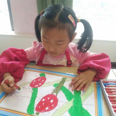 周六下午2点课启蒙二期―《七星瓢虫》