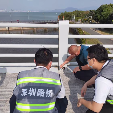 南山管理局专职专业桥梁养护工程师工作周报