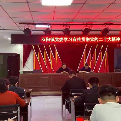 双阳镇多措并举掀起学习贯彻党的二十大精神热潮！