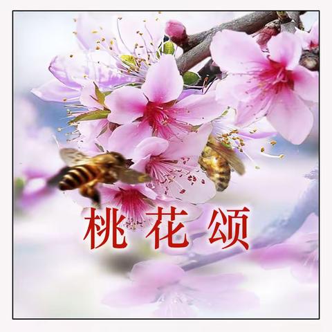 桃花颂