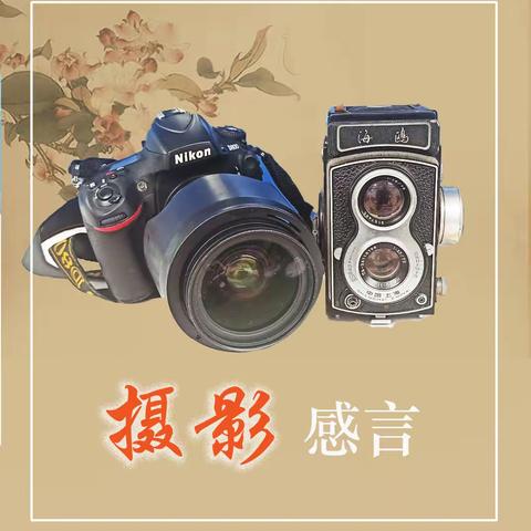 摄影感言
