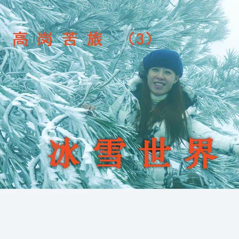 冰雪世界   高岗苦旅（3）