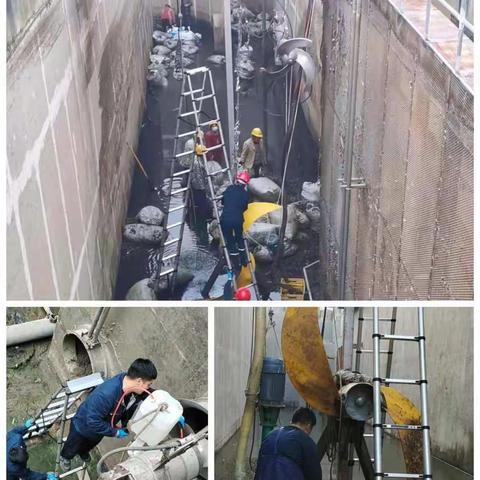 精益求精维保人